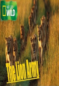 Lions vs Hyenas vs Hippo Full Documentary