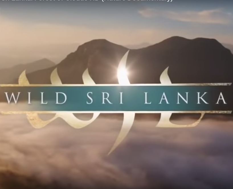 Sri Lanka Forest of Clouds Full Documentary