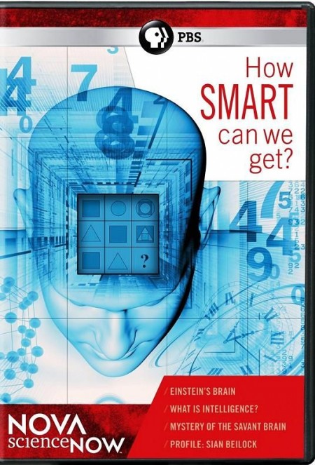 Human Brain: How smart can we get