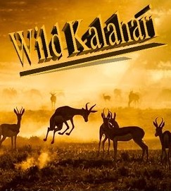 Wild Kalahari Full Documentary